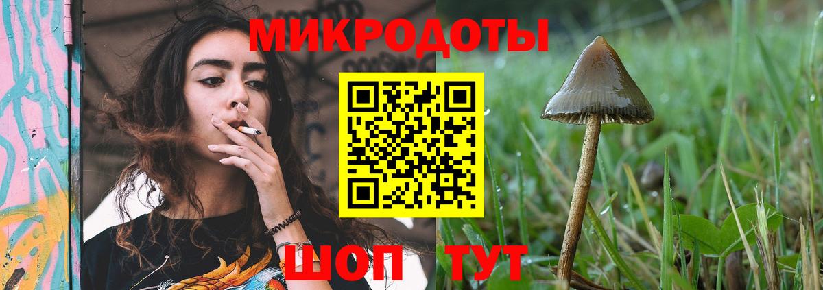 где можно купить   Вход с VPN  Назарово  Галлюциногенные грибы мицелий 