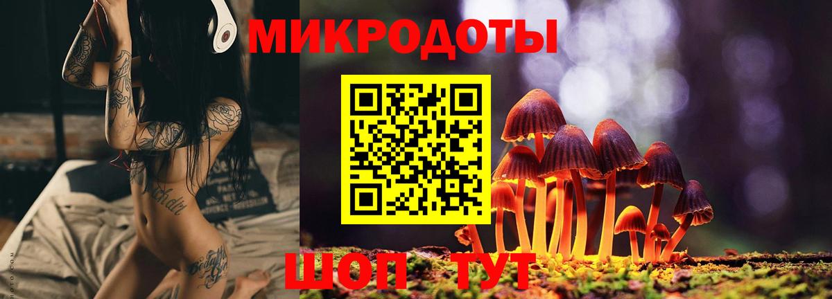 Псилоцибиновые грибы Psilocybe Назарово